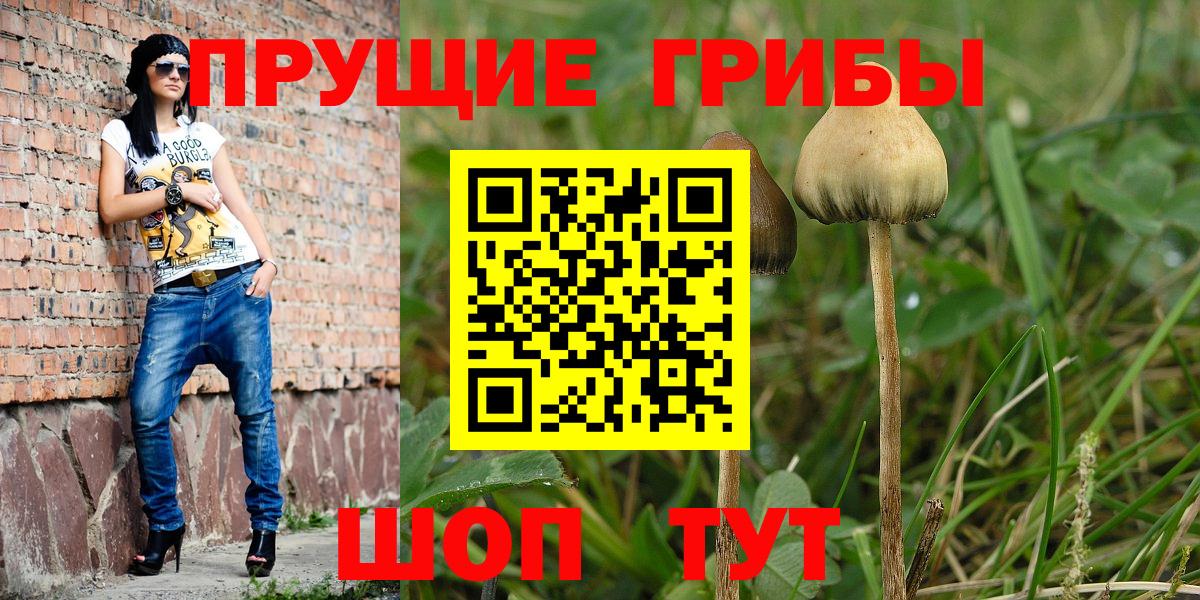 Галлюциногенные грибы ЛСД Каменск-Уральский