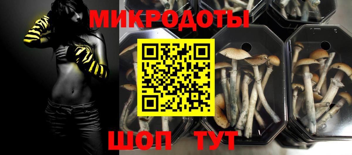 Псилоцибиновые грибы MAGIC MUSHROOMS  Вход с VPN  Каменск-Уральский  Псилоцибиновые грибы Psilocybe 